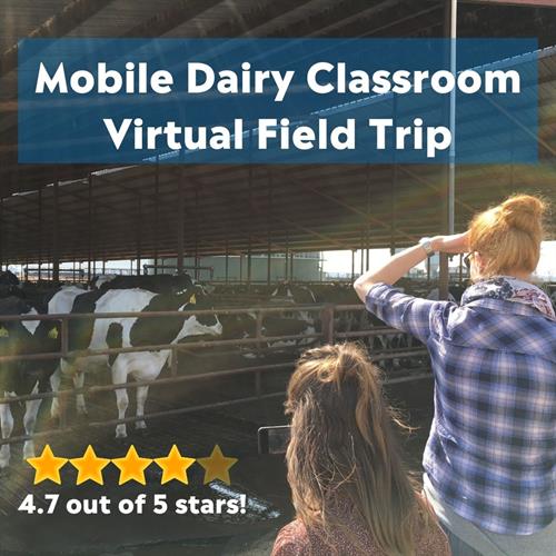 MDC VFT rating 4.7 stars (1)